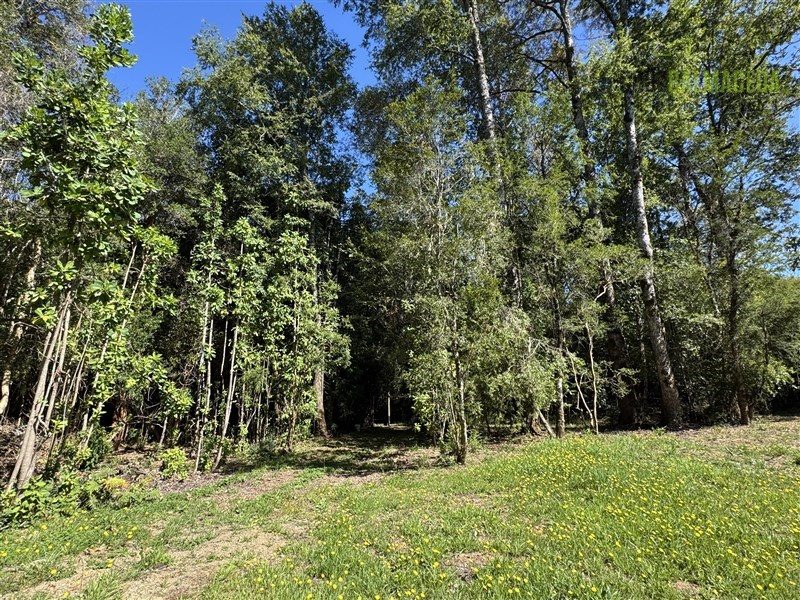 Parcela en venta en Panguipulli — foto 8