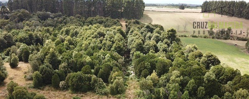 Parcela en venta en Puerto Varas — foto 7