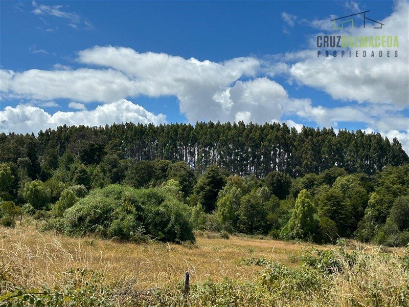 Parcela en venta en Puerto Varas — foto 9