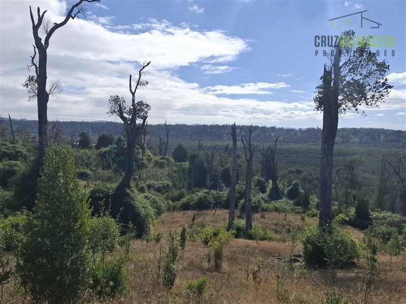 Parcela en venta en Ancud — foto 2