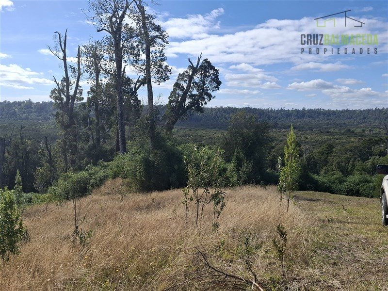 Parcela en venta en Ancud — foto 3