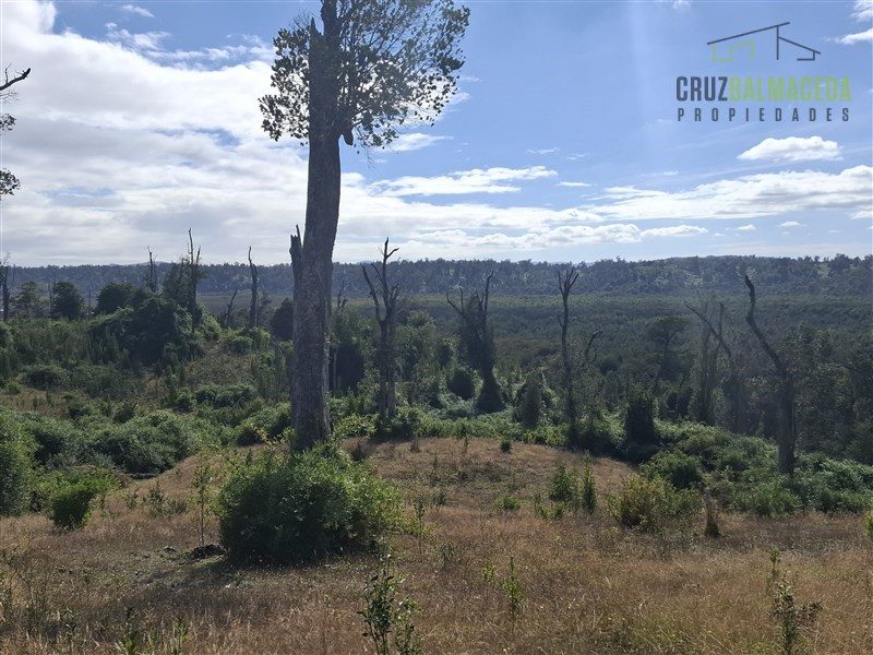 Parcela en venta en Ancud — foto 5