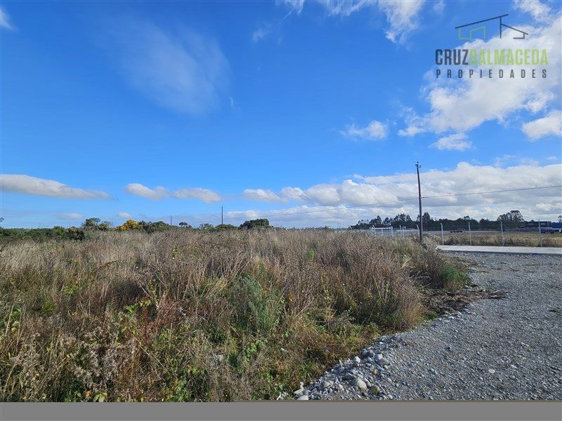 Bodega en arriendo en Puerto Varas — foto 4