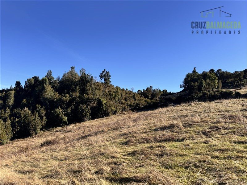 Parcela en venta en Puyehue — foto 4