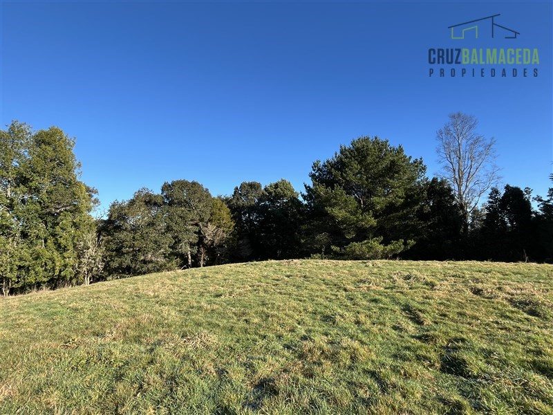 Parcela en venta en Puerto Varas — foto 4