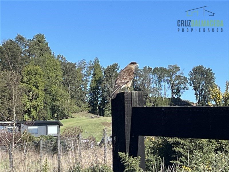 Parcela en venta en Puerto Varas — foto 5