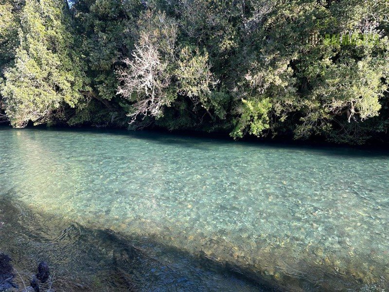 Parcela en venta en Puerto Octay — foto 5