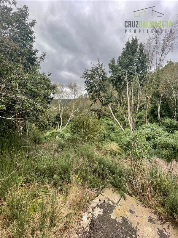 Casa en venta en Puerto Varas — foto 10