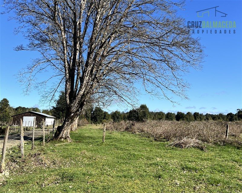 Parcela en venta en Los Muermos — foto 4