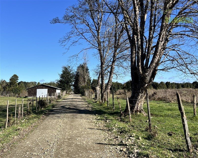 Parcela en venta en Los Muermos — foto 5