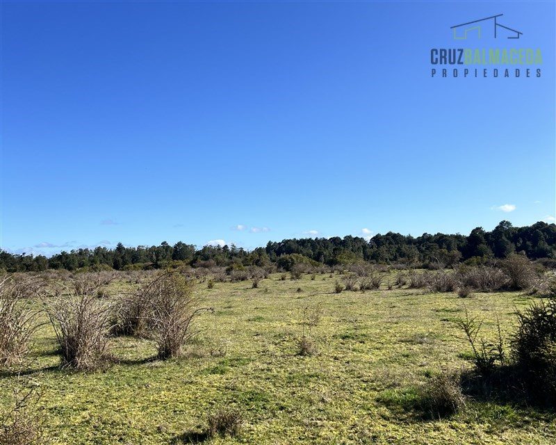 Parcela en venta en Los Muermos — foto 6