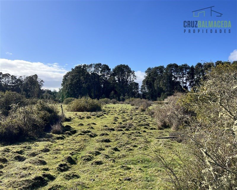 Parcela en venta en Los Muermos — foto 7