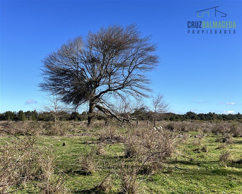 Parcela en venta en Los Muermos — foto 9