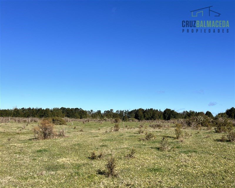 Parcela en venta en Los Muermos — foto 10