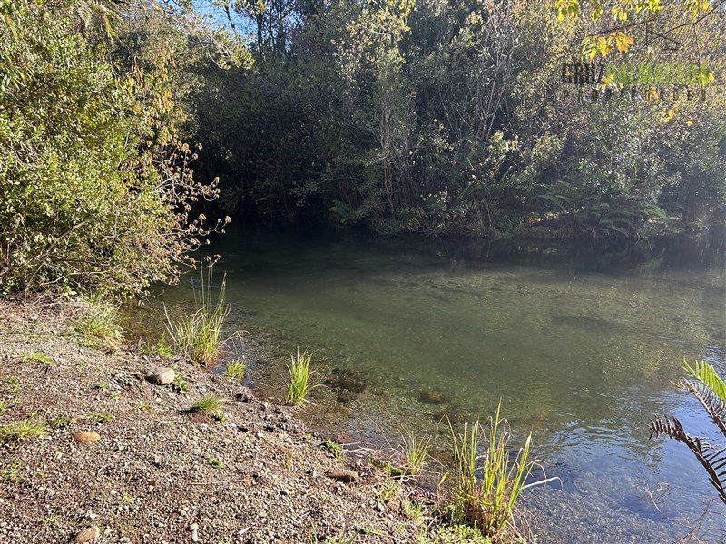 Parcela en venta en Puerto Varas — foto 3