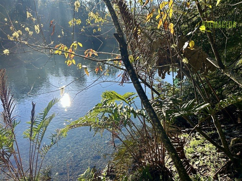 Parcela en venta en Puerto Varas — foto 5