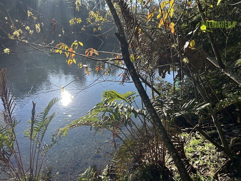 Parcela en venta en Puerto Varas — foto 6