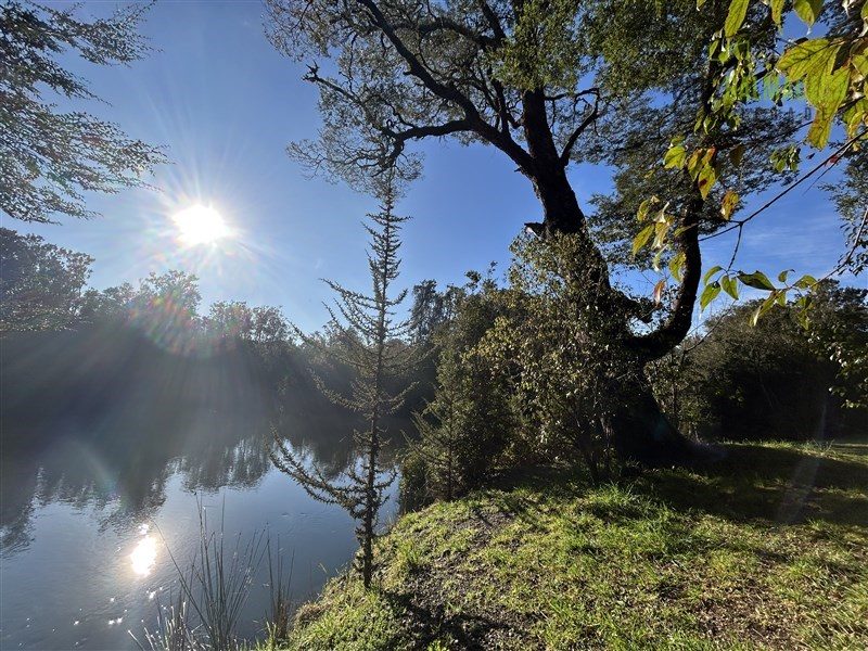 Parcela en venta en Puerto Varas — foto 10