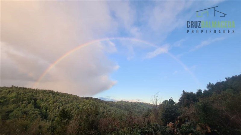 Parcela en venta en Los Muermos — foto 2