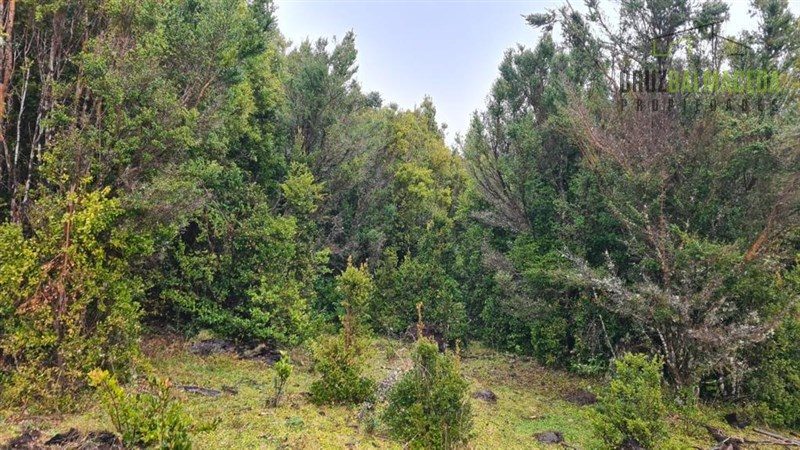 Parcela en venta en Los Muermos — foto 4