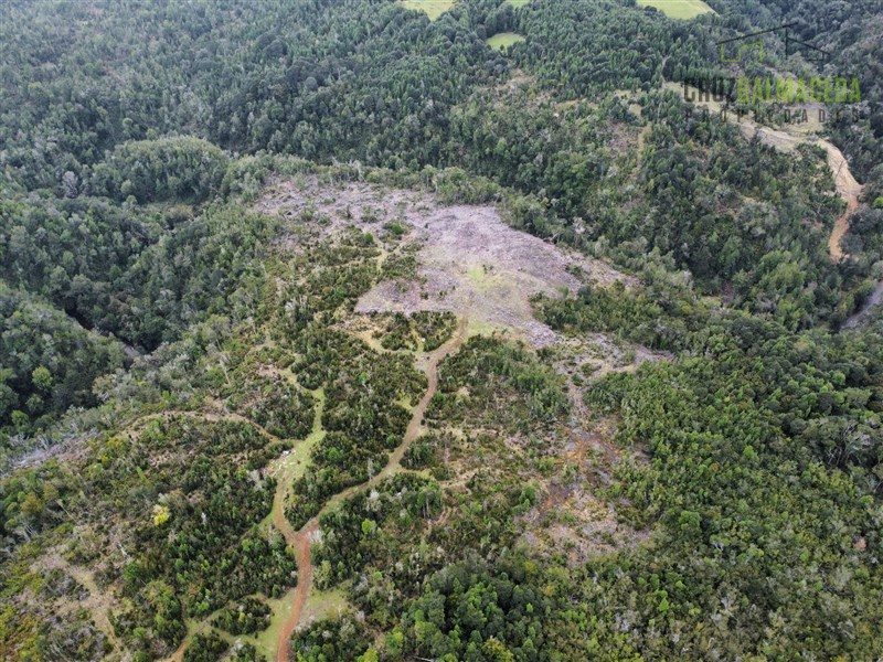 Parcela en venta en Los Muermos — foto 9