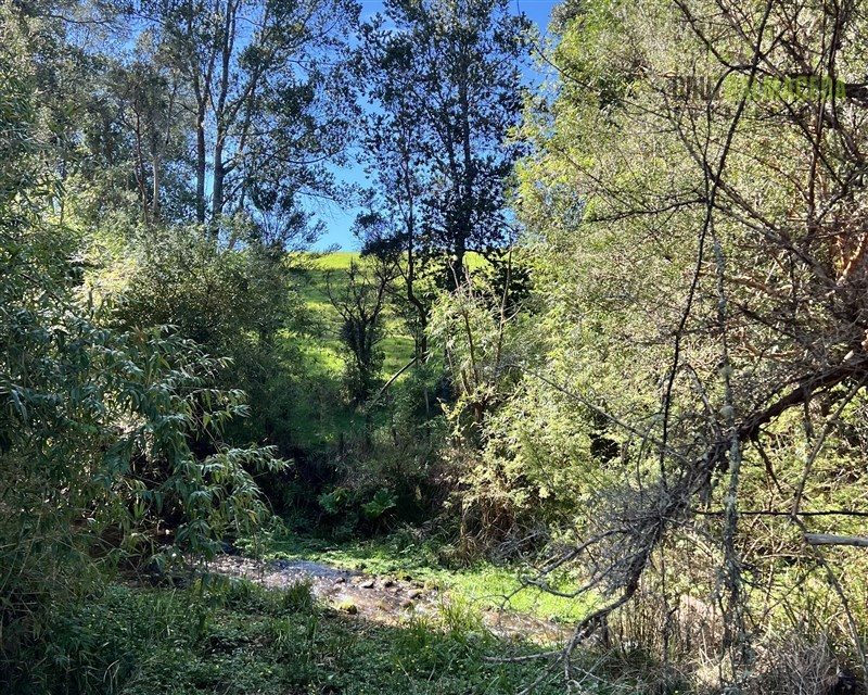 Parcela en venta en Llanquihue — foto 9