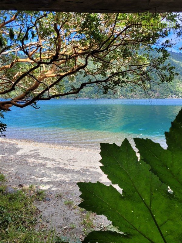Parcela en venta en Lago Ranco — foto 1