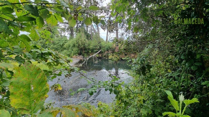 Parcela en venta en Puerto Montt — foto 4