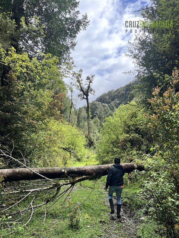 Parcela en venta en Cochamó — foto 7