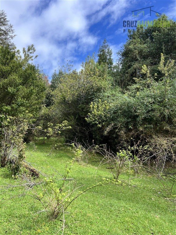 Parcela en venta en Cochamó — foto 8