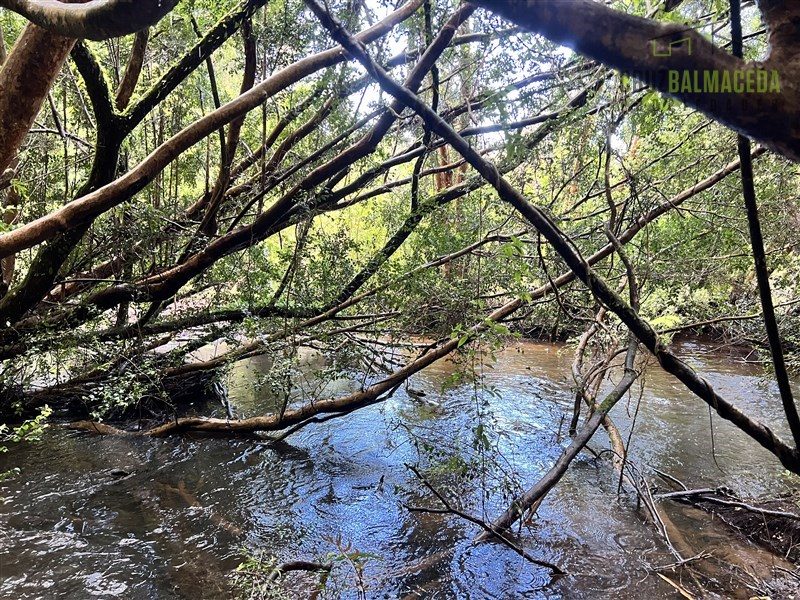 Parcela en venta en Los Muermos — foto 2