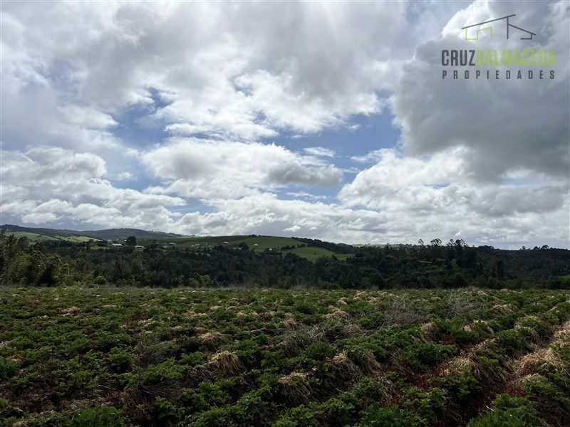 Parcela en venta en Los Muermos — foto 4