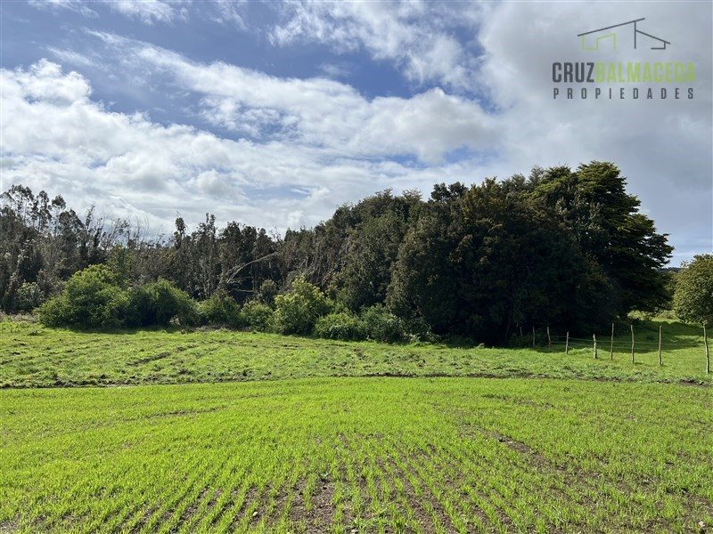 Parcela en venta en Los Muermos — foto 7