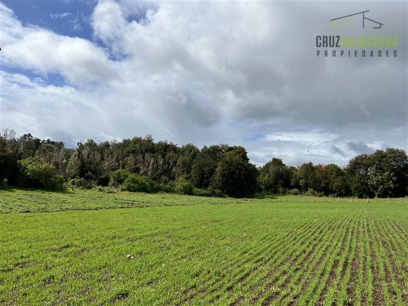Parcela en venta en Los Muermos — foto 8