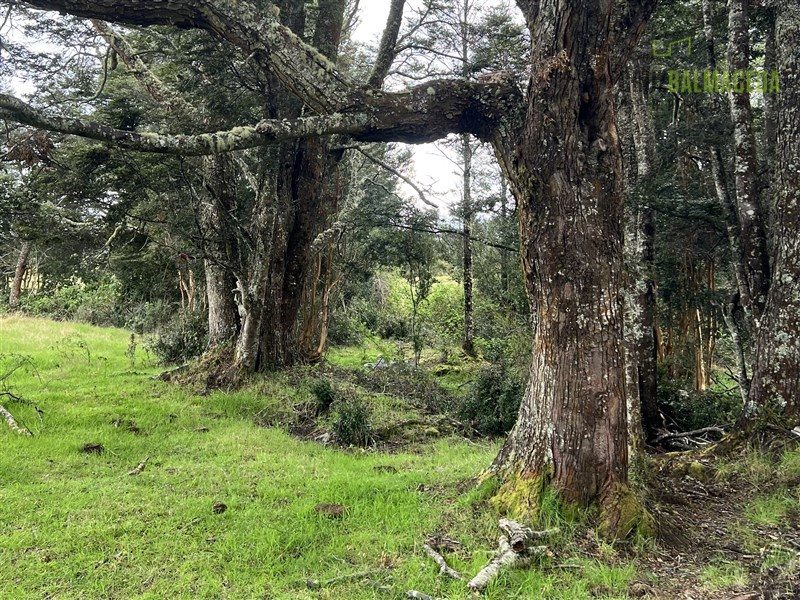 Parcela en venta en Puerto Montt — foto 5