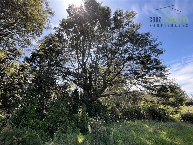 Parcela en venta en Puerto Varas — foto 6