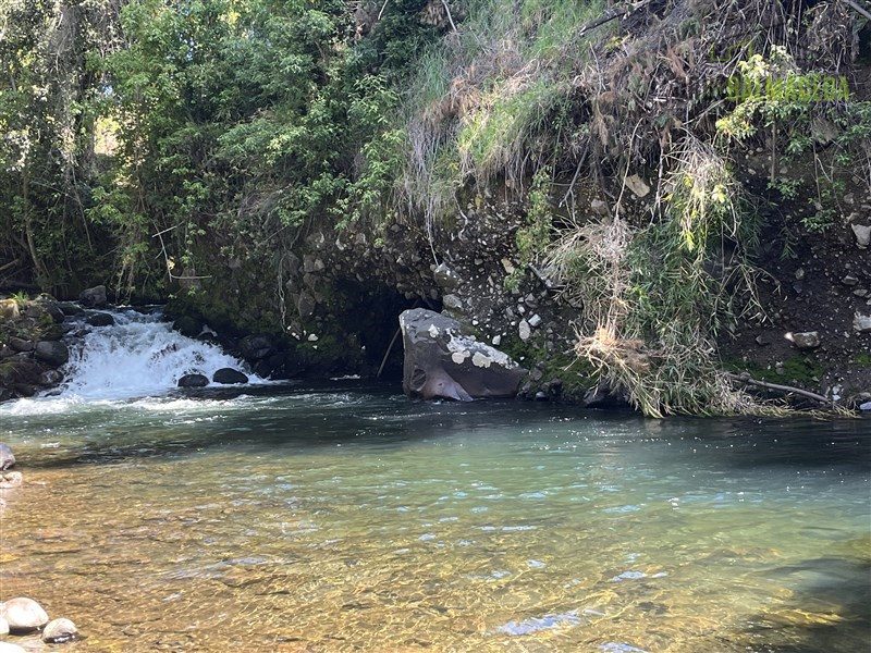 Parcela en venta en Puerto Varas — foto 7