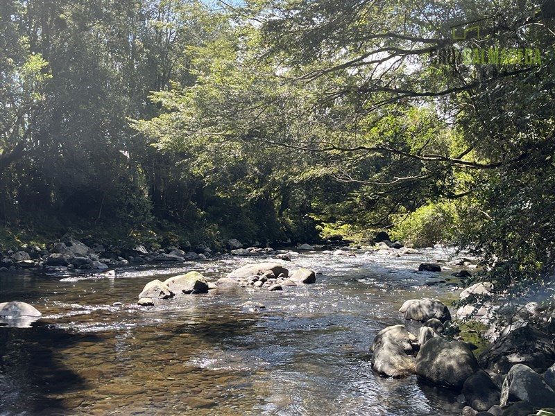 Parcela en venta en Puerto Varas — foto 9