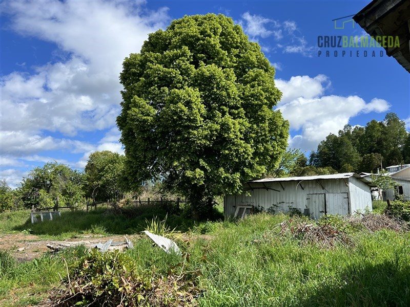 Parcela en venta en Los Muermos — foto 6