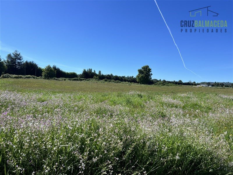 Parcela en venta en Puyehue — foto 9