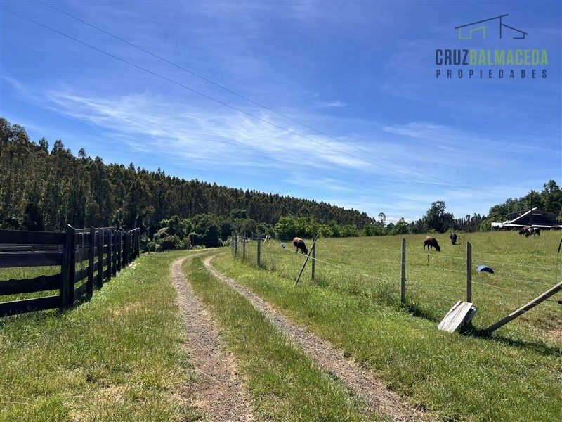 Parcela en venta en Río Negro — foto 2