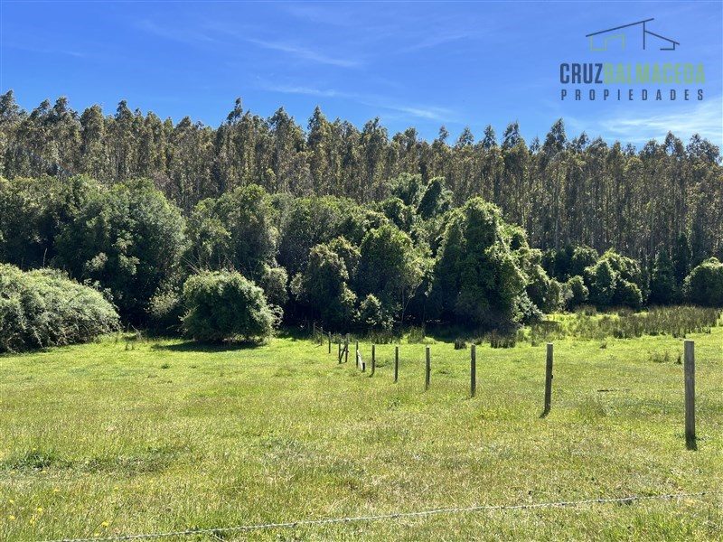 Parcela en venta en Río Negro — foto 3