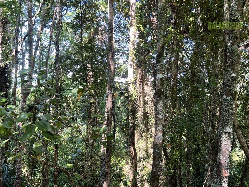 Parcela en venta en Río Negro — foto 7