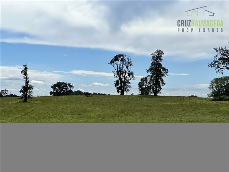 Parcela en venta en Puyehue — foto 7
