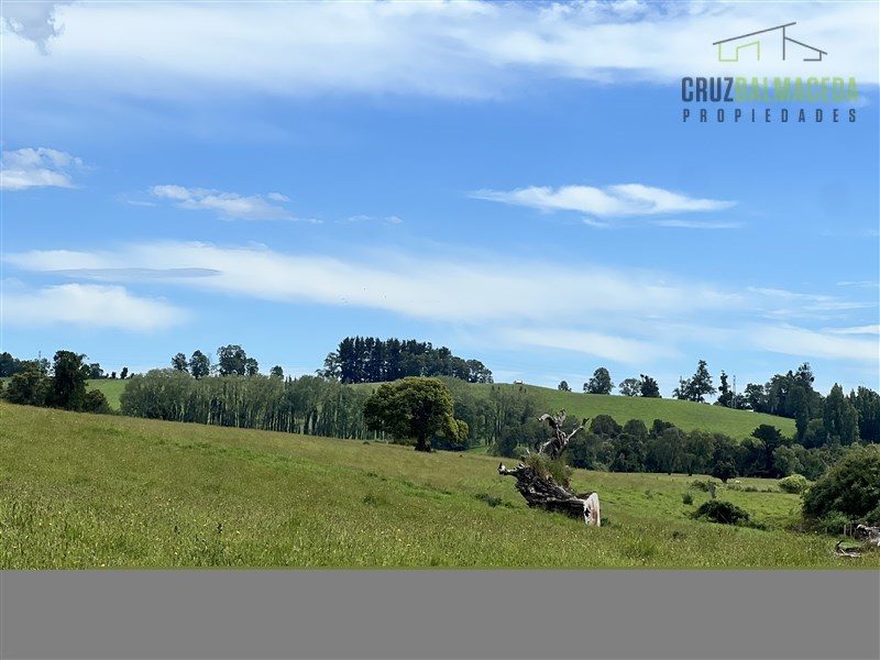 Parcela en venta en Puyehue — foto 8