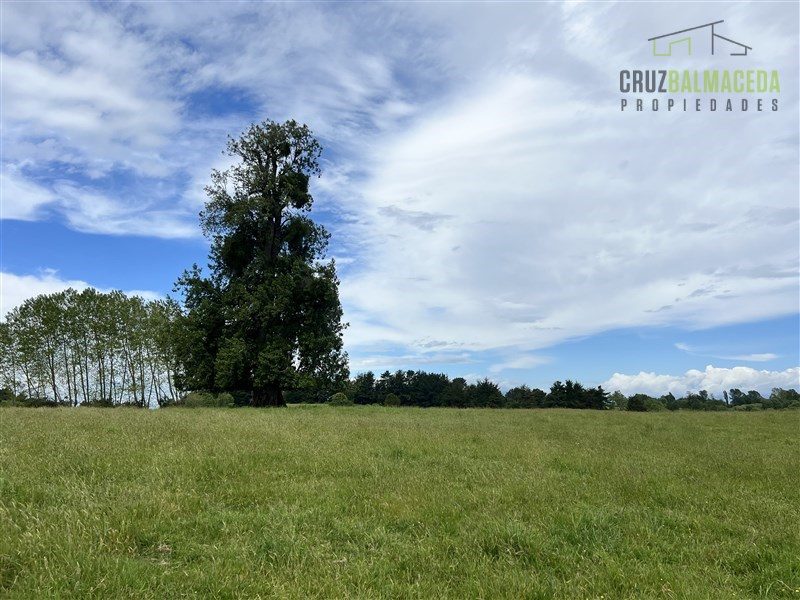 Parcela en venta en Puyehue — foto 9