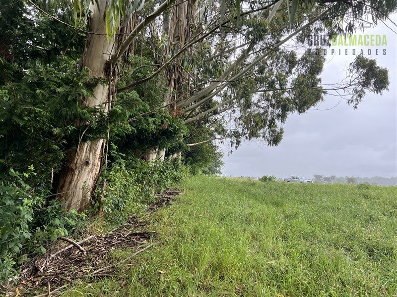 Parcela en venta en Maullín — foto 2