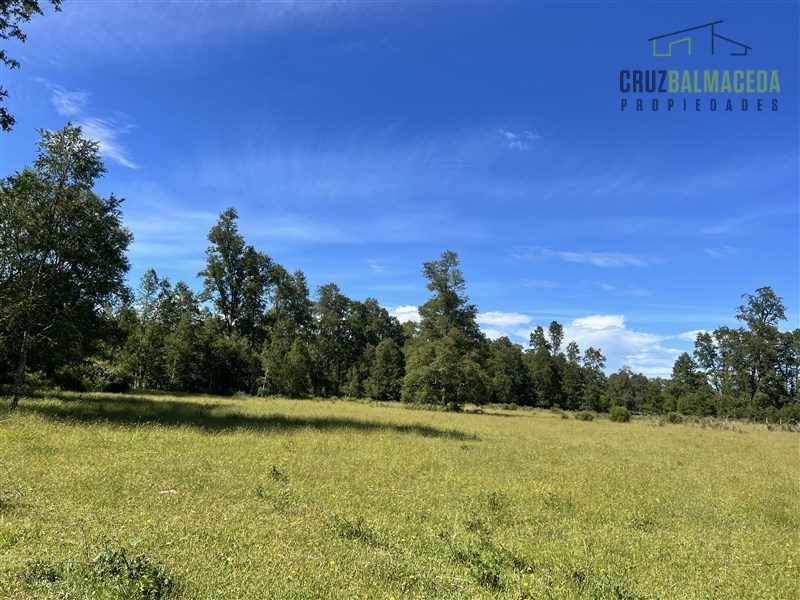 Parcela en venta en Los Muermos — foto 10