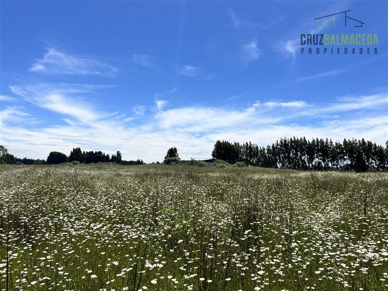 Parcela en venta en Frutillar — foto 2