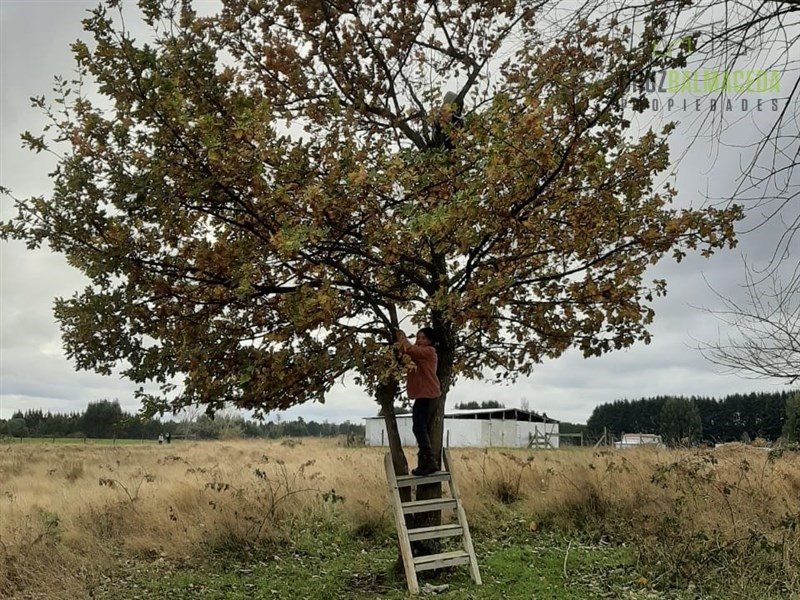 Parcela en venta en Frutillar — foto 3